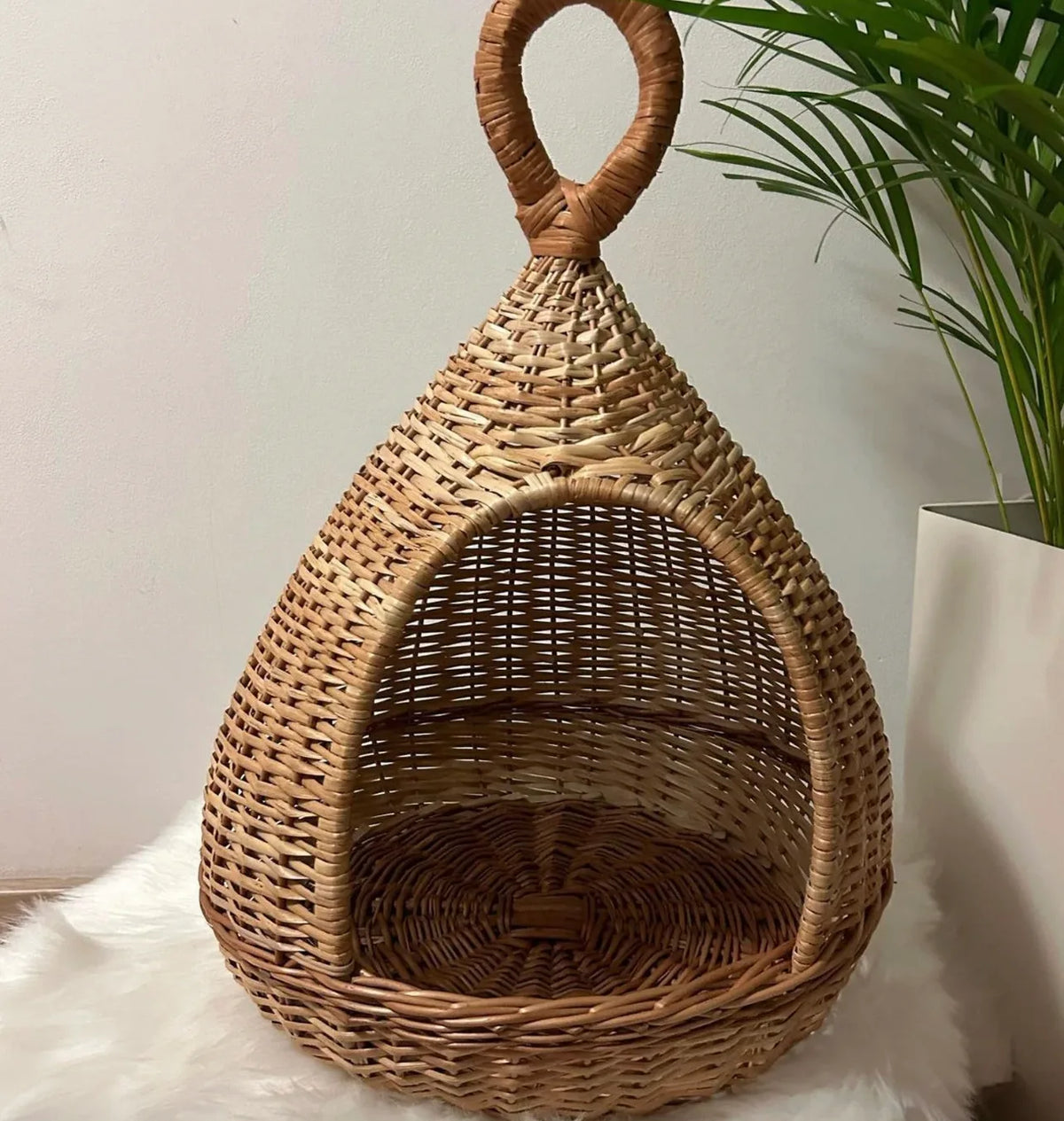 Wicker Pet House