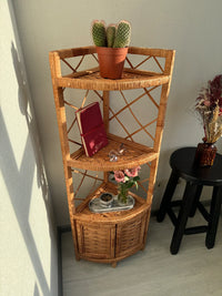 Corner Shelf Cabinet