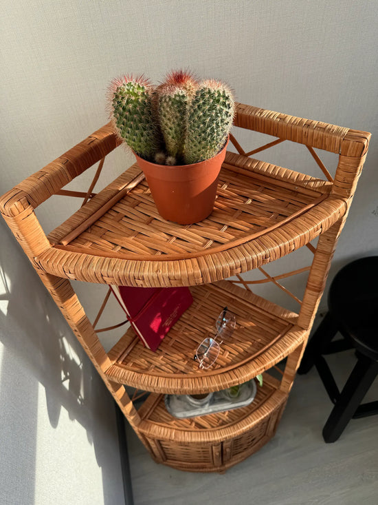 Corner Shelf Cabinet