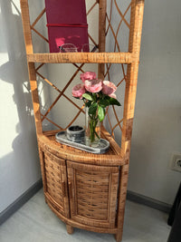 Corner Shelf Cabinet