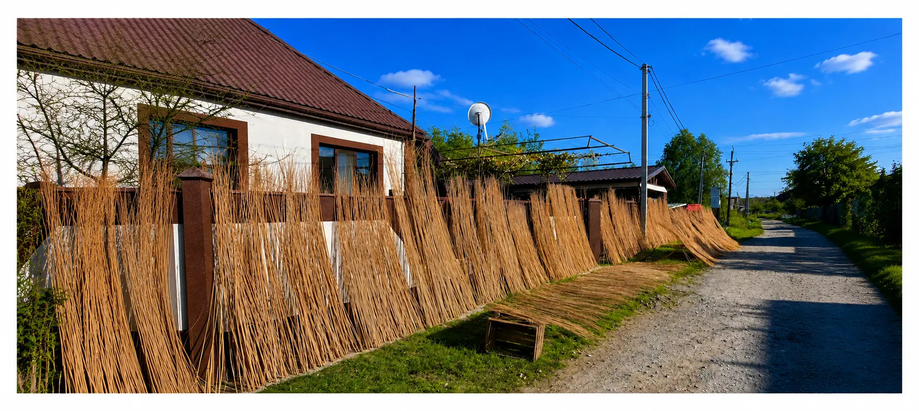 about hero willow drying