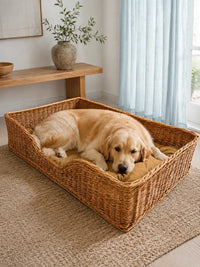 Large Dog Bed – Pet Basket with Cushion