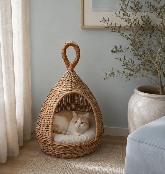 Wicker Pet House