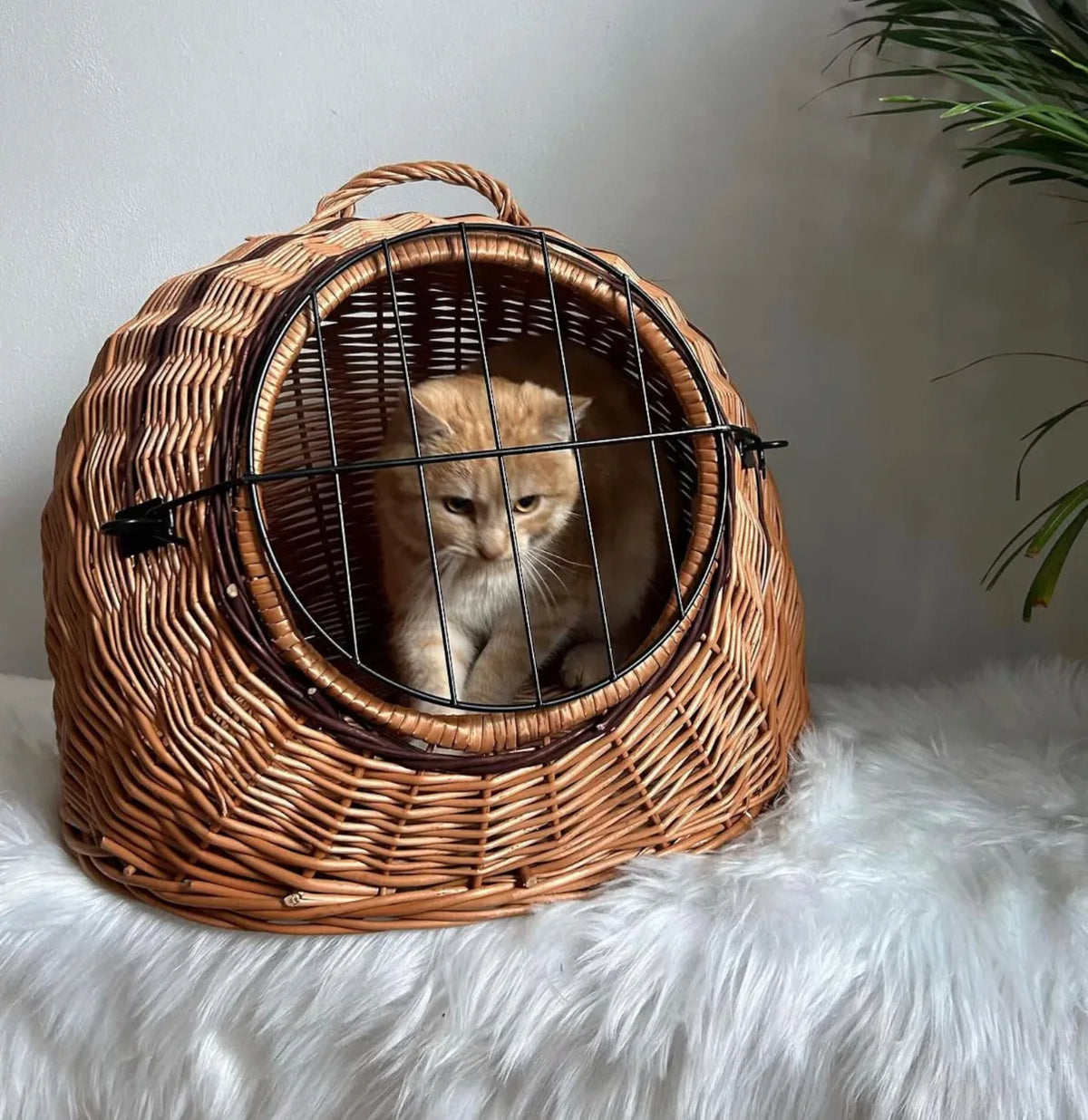 Pet Carrier Basket