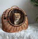 Pet Carrier Basket