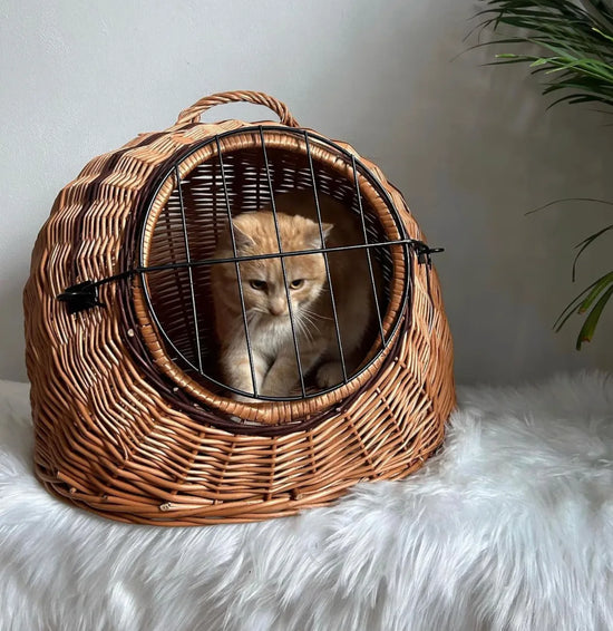 Pet Carrier Basket