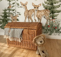 Toy Storage Chest