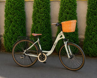 Bicycle Shopping Basket