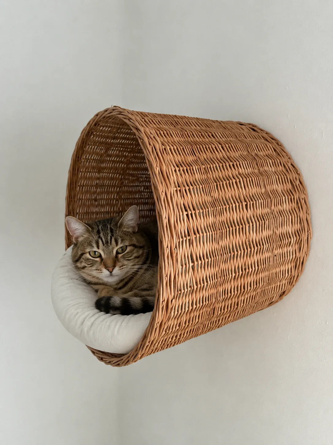Round Wall Cat Bed