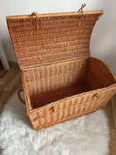 Toy Storage Chest