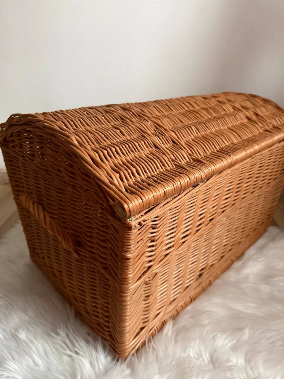 Toy Storage Chest