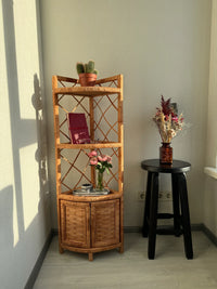 Corner Shelf Cabinet