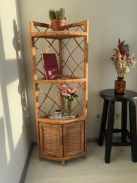 Corner Shelf Cabinet